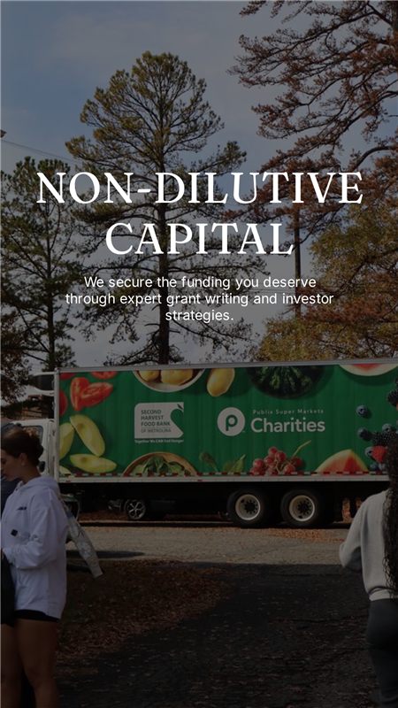 Non-dilutive capital &mdash; grant writing and investor strategy, part of revenue roadmapping
